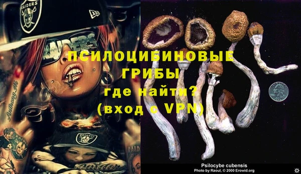 spice Алзамай